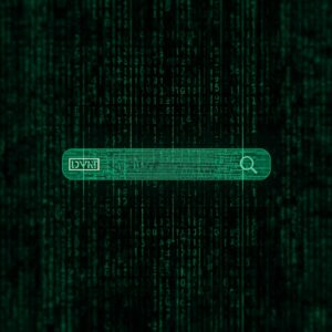 does a vpn block search history