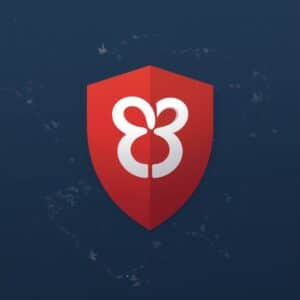 does brave have a vpn