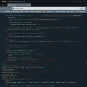 does duckduckgo have a vpn