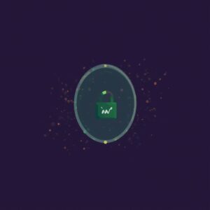 does tor have a built in vpn