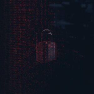 does vpn hide browsing history from wifi owner reddit