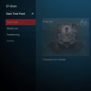 how do you use a vpn with firestick