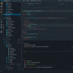 how to set up softether vpn client