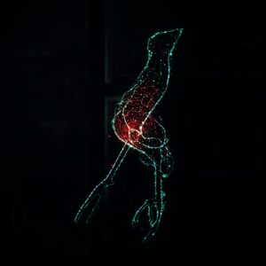 is there a vpn like tor