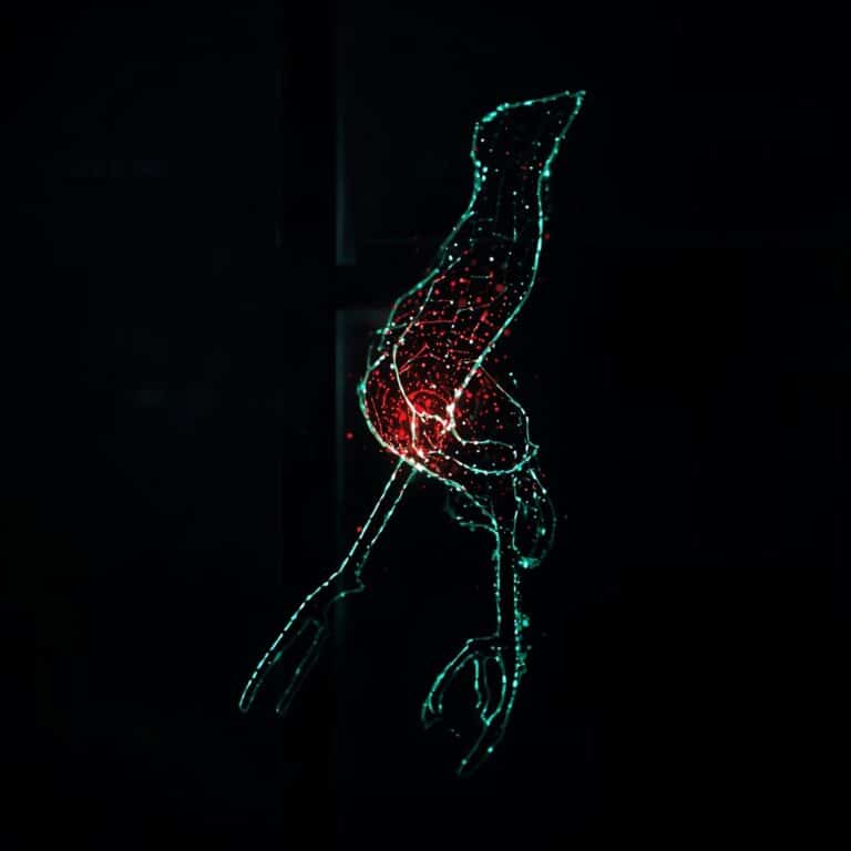 is there a vpn like tor