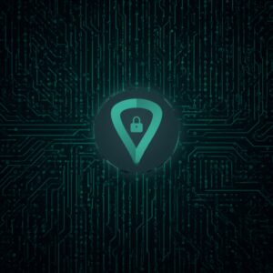 what is the best vpn reddit