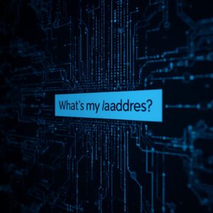 what's my ip address vpn