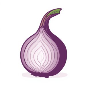 what's onion over vpn