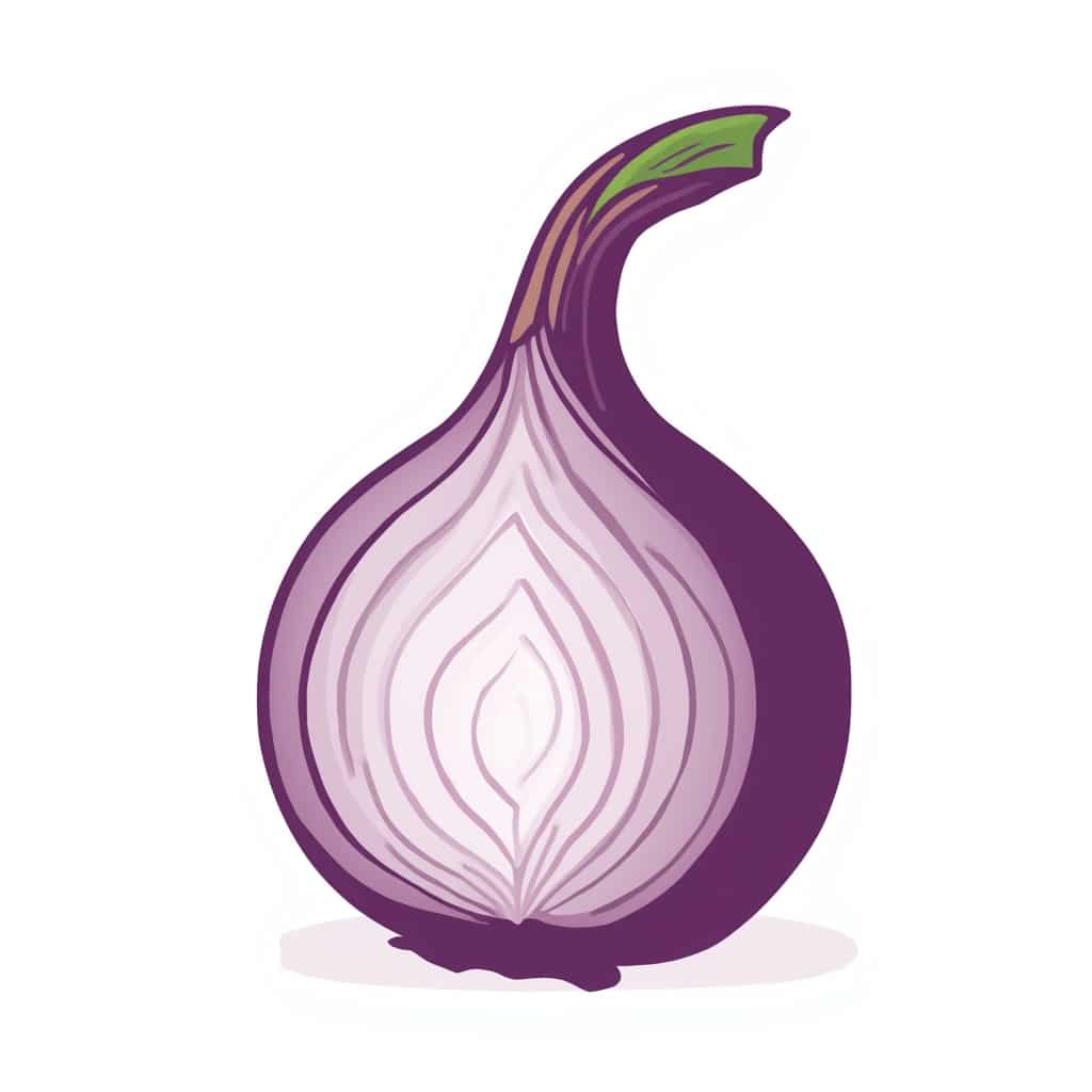 what's onion over vpn