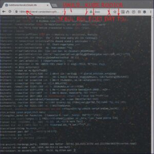 how to use qbittorrent reddit​