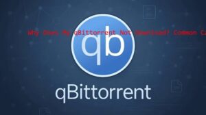 why does my qbittorrent not download​