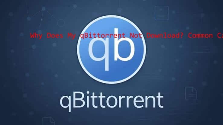 why does my qbittorrent not download​