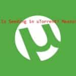 what is seeding in utorrent​