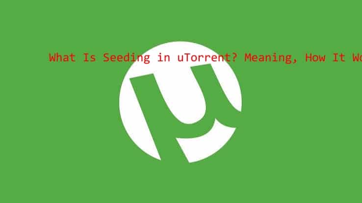 what is seeding in utorrent