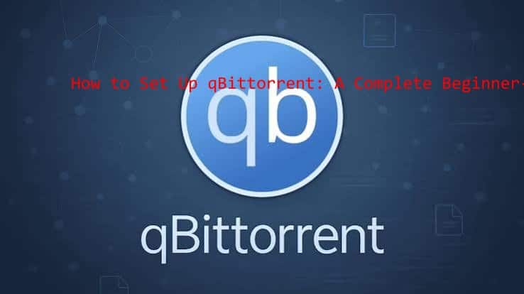 how to set up qbittorrent​