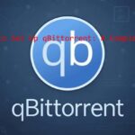 how to setup qbittorrent​