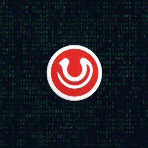 is bittorrent legal​